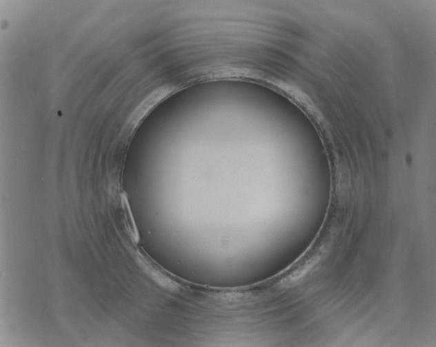 X0000074300897200609081914