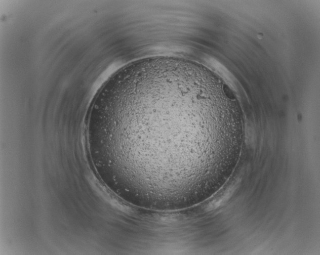 X0000074300899200609081914