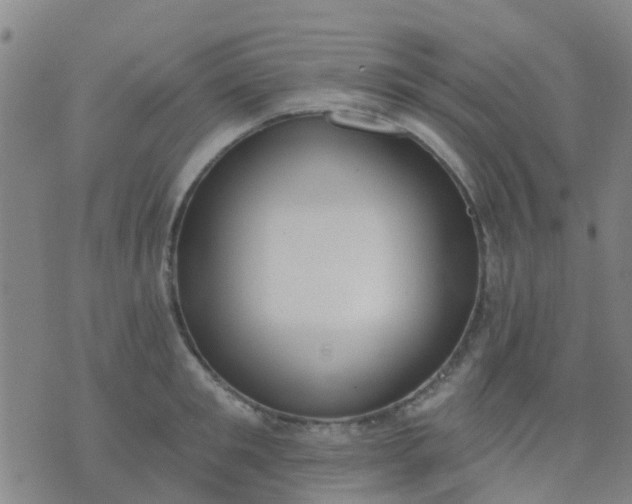 X0000074300901200609081914