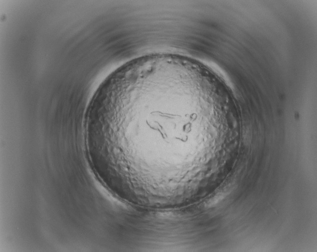 X0000074300903200609081914