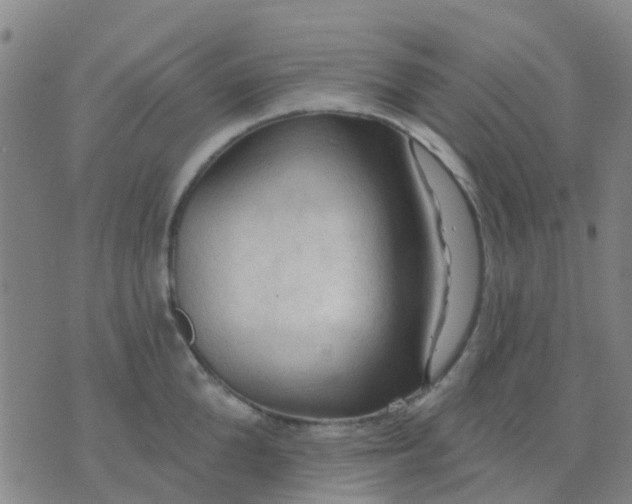 X0000074300904200609081914