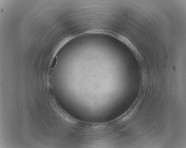 X0000074300908200609081914