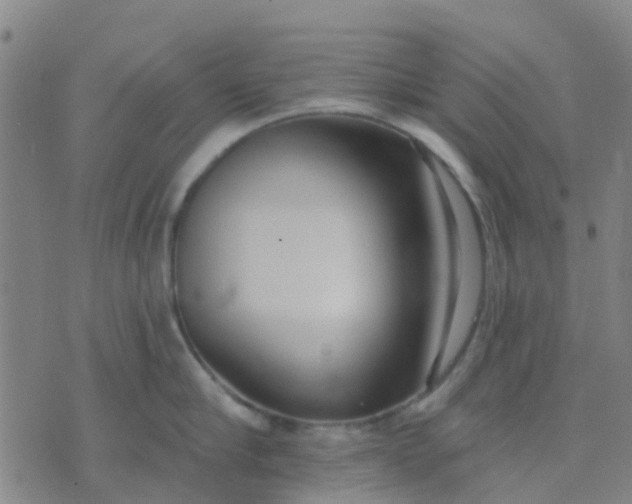 X0000074300910200609081914