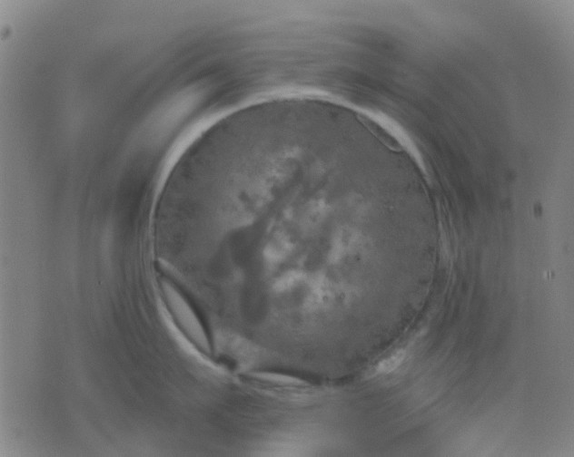 X0000074300911200609081914