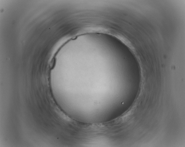 X0000074300912200609081914