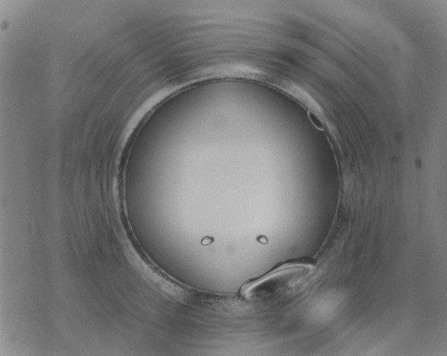 X0000074300947200609081914