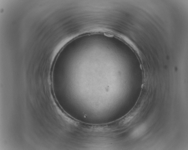 X0000074300951200609081914