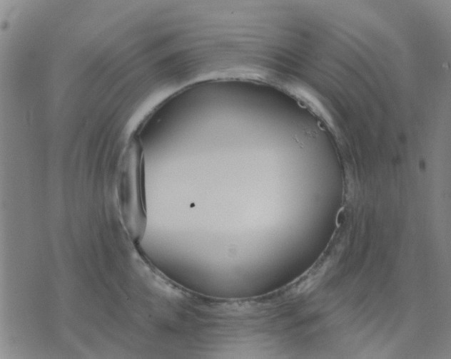 X0000074300952200609081914