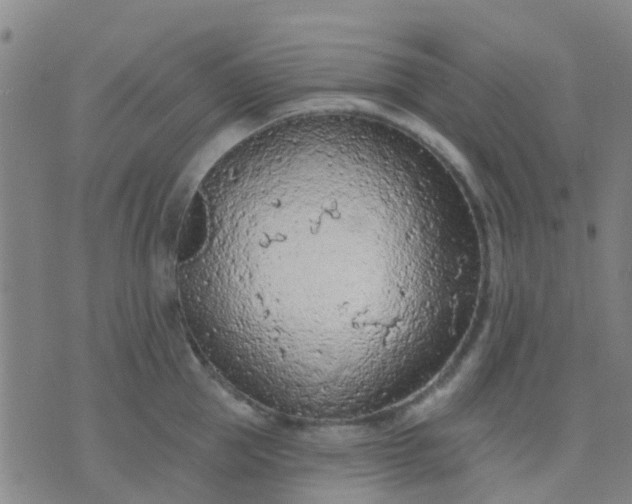 X0000074300953200609081914