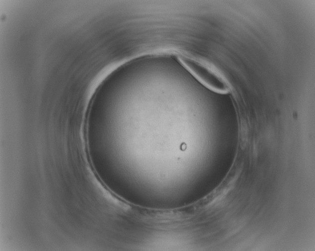 X0000074300959200609081914