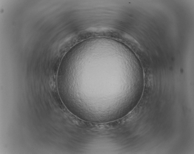 X0000074300966200609081913