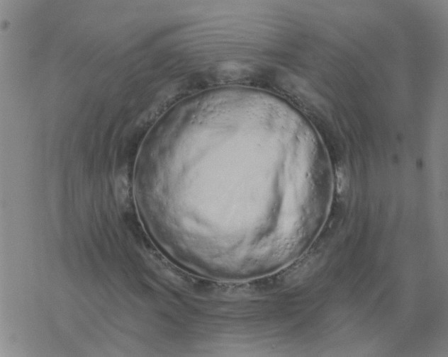X0000074301011200609081911