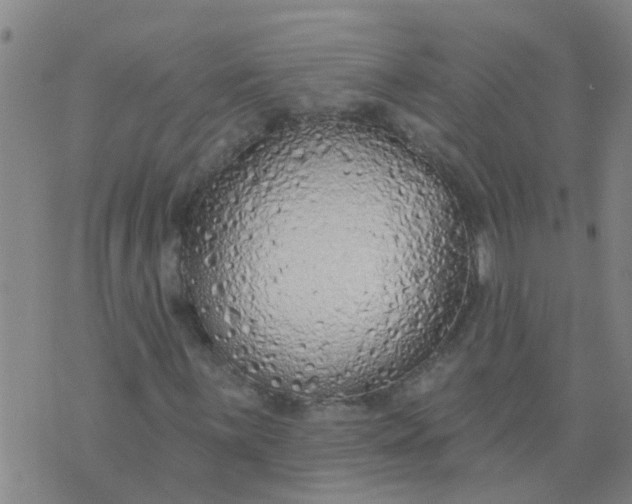 X0000074301059200609081911