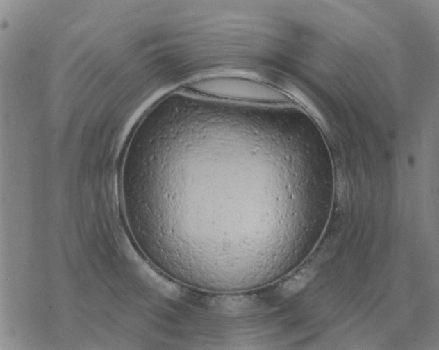 X0000074301092200609081911