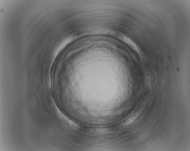 X0000074301095200609081911