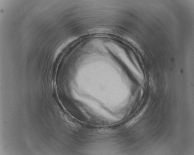 X0000074301117200609081910
