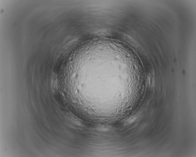 X0000074301251200609081908