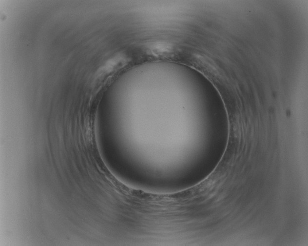 X0000074301298200609081907