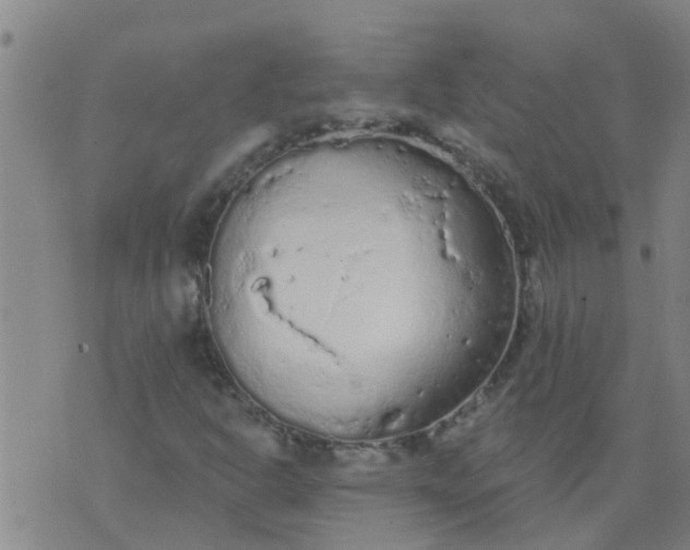 X0000074301302200609081907