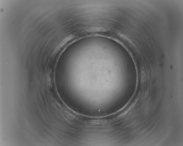 X0000074301305200609081907