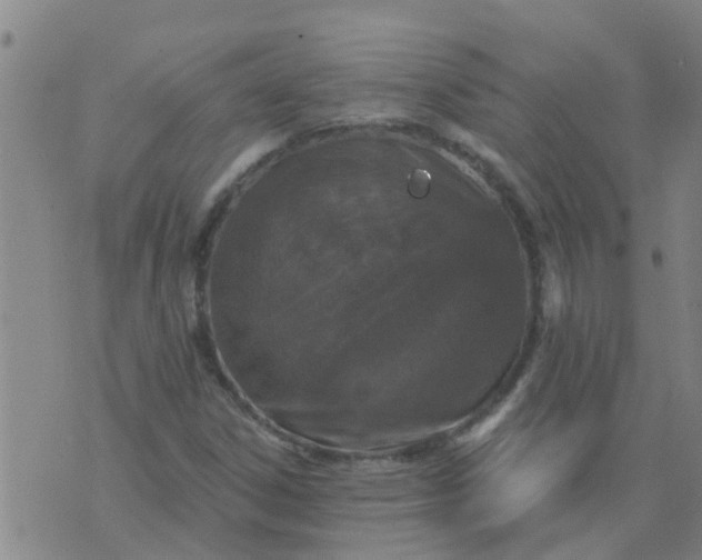 X0000074301306200609081907