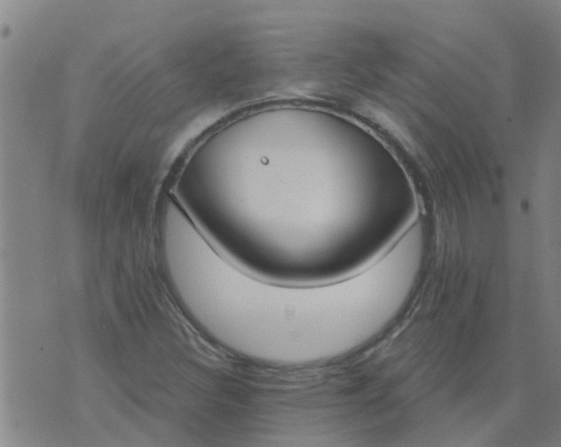 X0000074301308200609081907