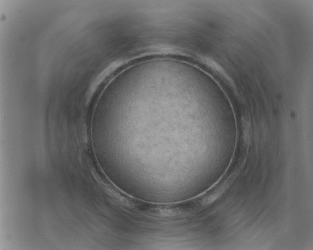 X0000074301318200609081907