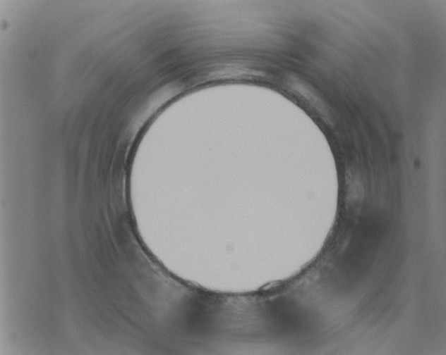 X0000074301322200609081907