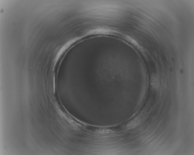 X0000074301323200609081907