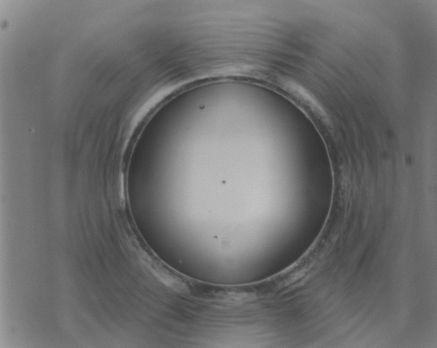 X0000074301324200609081907