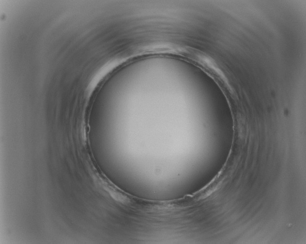 X0000074301328200609081907