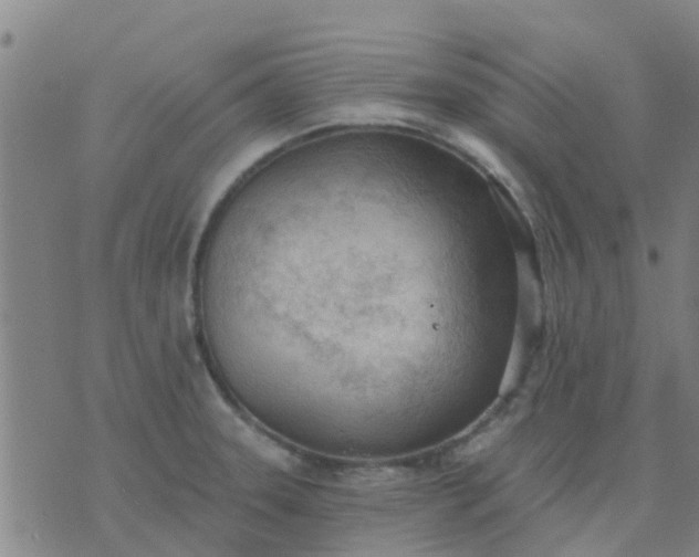 X0000074301331200609081907