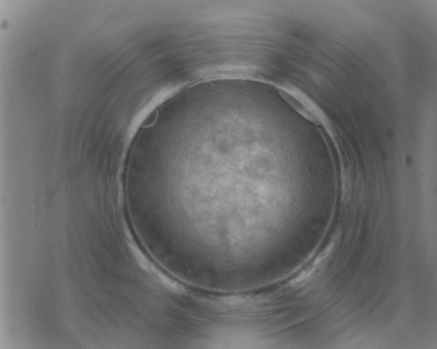 X0000074301341200609081907