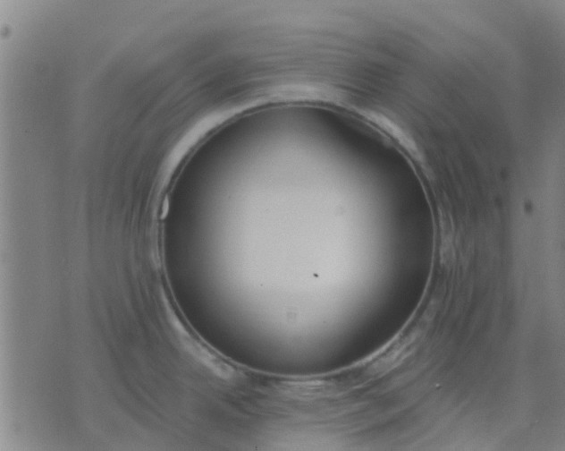 X0000074301342200609081907