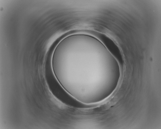 X0000074301344200609081907