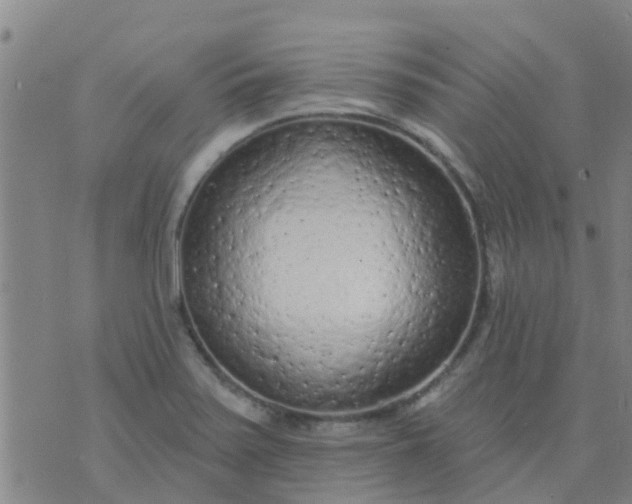 X0000074301371200609081906
