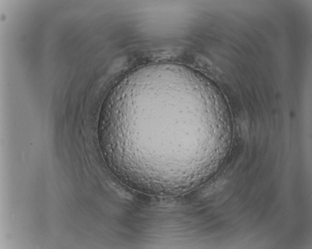 X0000074301393200609081905