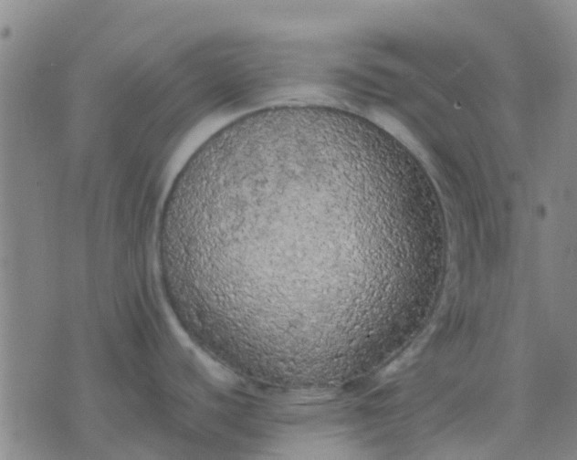 X0000074301440200609081906