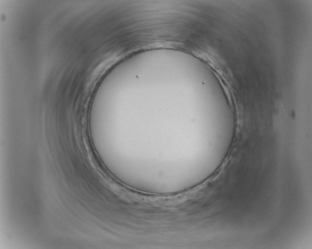 X0000074300001200609151953