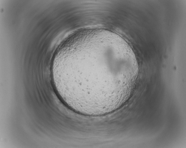 X0000074300002200609151953