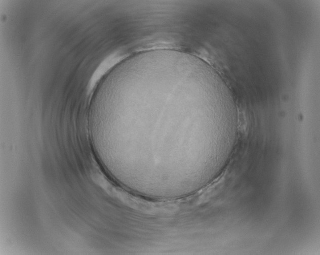 X0000074300004200609151953