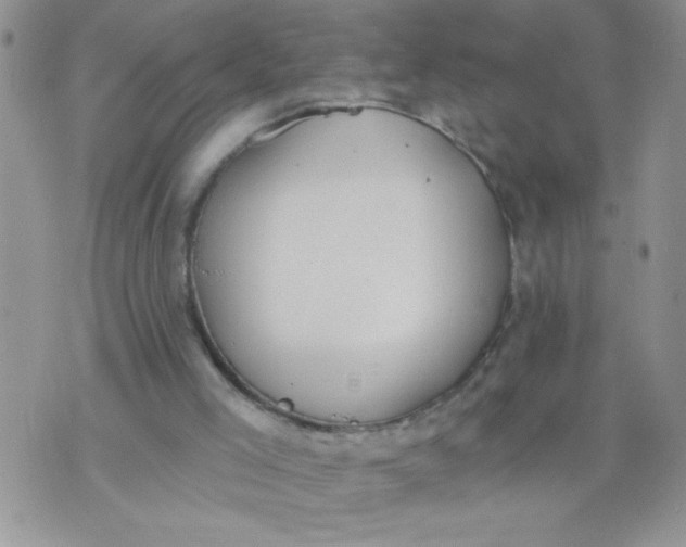 X0000074300005200609151953