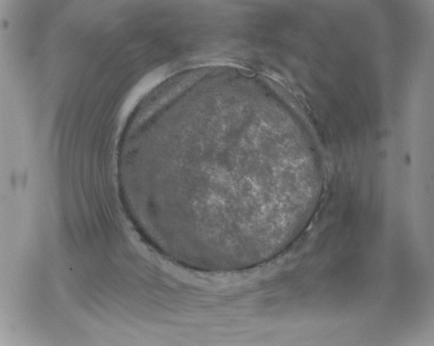 X0000074300006200609151953