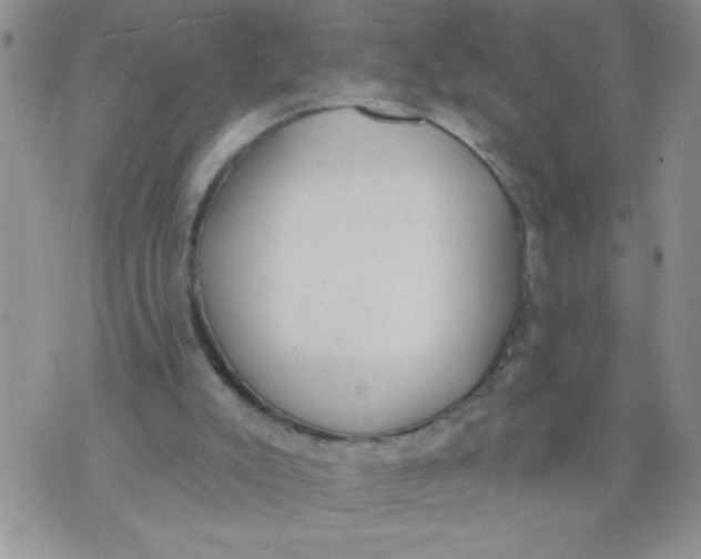 X0000074300007200609151953