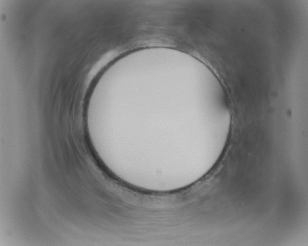 X0000074300008200609151953