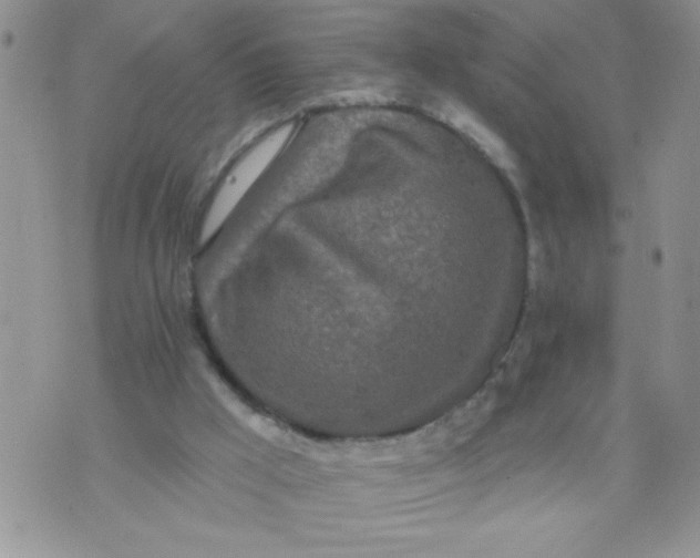 X0000074300009200609151953