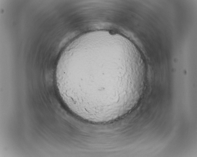 X0000074300010200609151953