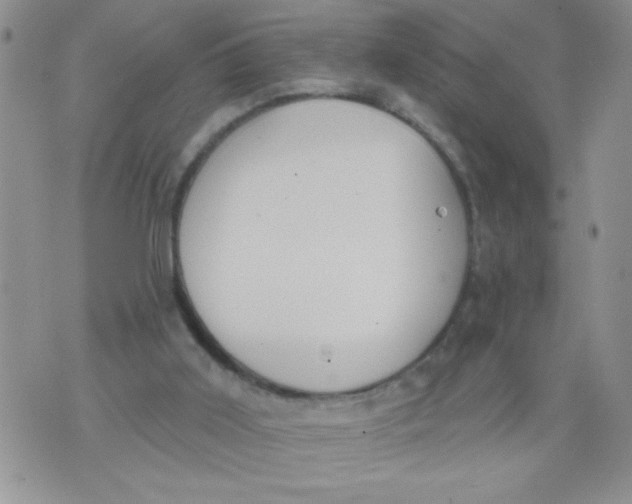 X0000074300011200609151953