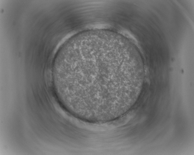 X0000074300012200609151953