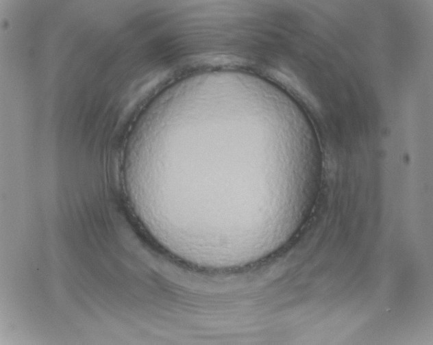 X0000074300014200609151953